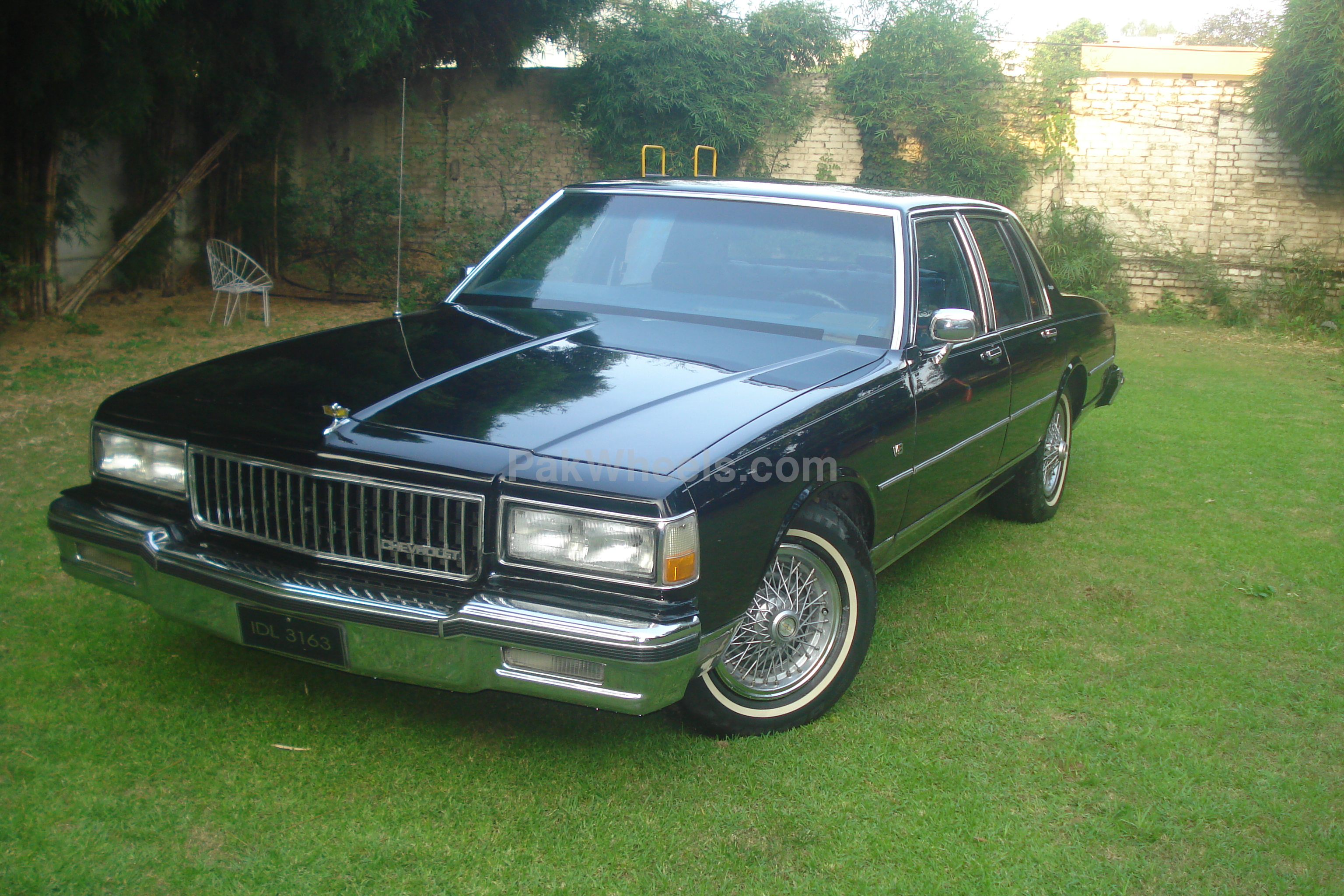 Chevrolet Caprice - 1989 Well Dressed Beast Image-1