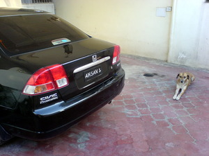 Honda Civic - 2007