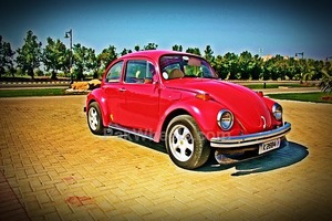 Volkswagen Beetle - 1974