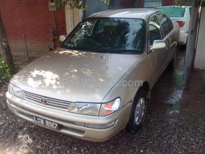 Toyota Corolla - 2000