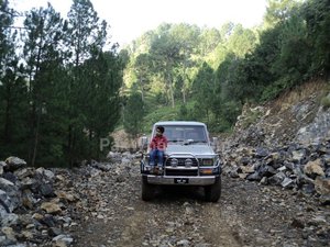Toyota Land Cruiser - 1991