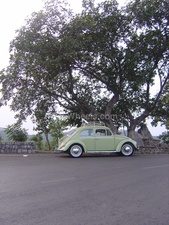 Volkswagen Beetle - 1963