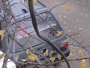 Suzuki Mehran - 2004