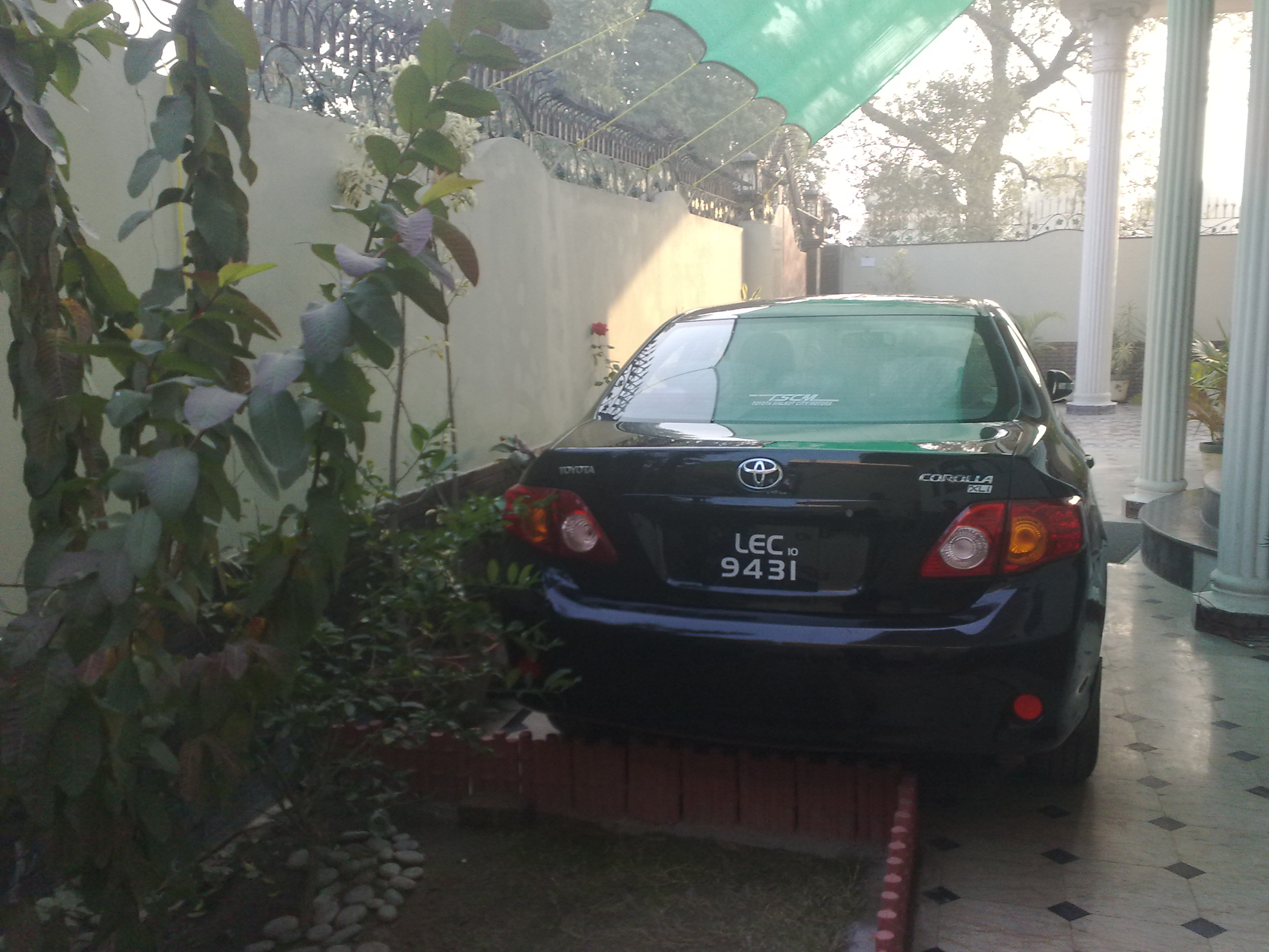 Toyota Corolla - 2010 COLA Toyota Corolla - 2010 COLA Image-3