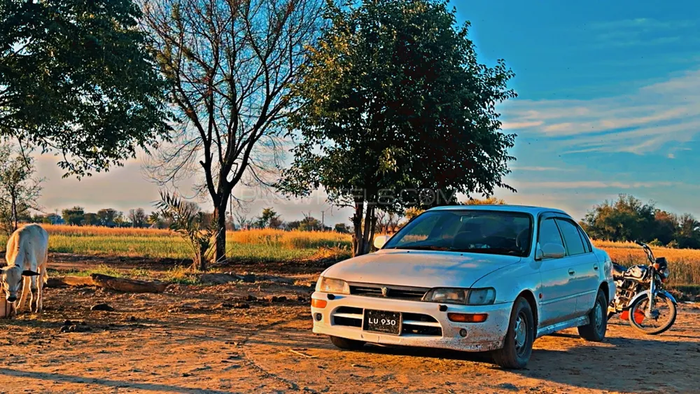 Toyota Corolla 1995 for Sale in Mian Wali Image-1