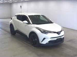 Toyota C-HR G-LED 2019 for Sale