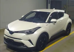 Toyota C-HR G-LED 2019 for Sale