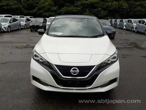 Nissan Leaf EV 2021 for Sale