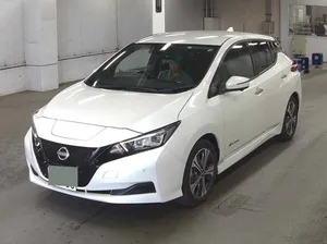 Nissan Leaf EV 2021 for Sale