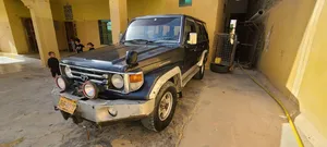 Toyota Land Cruiser 1992 for Sale