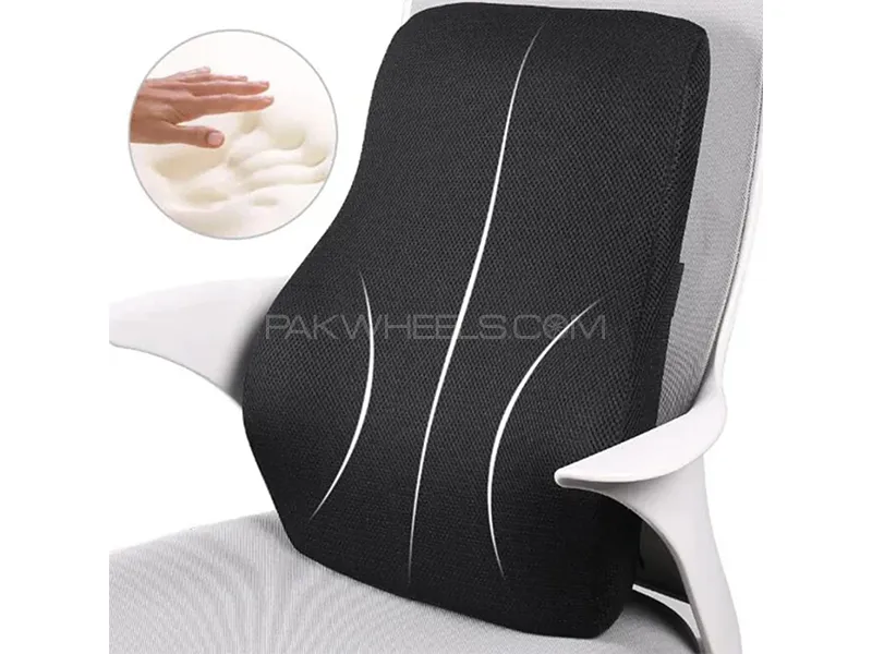 Back posture cushion best sale