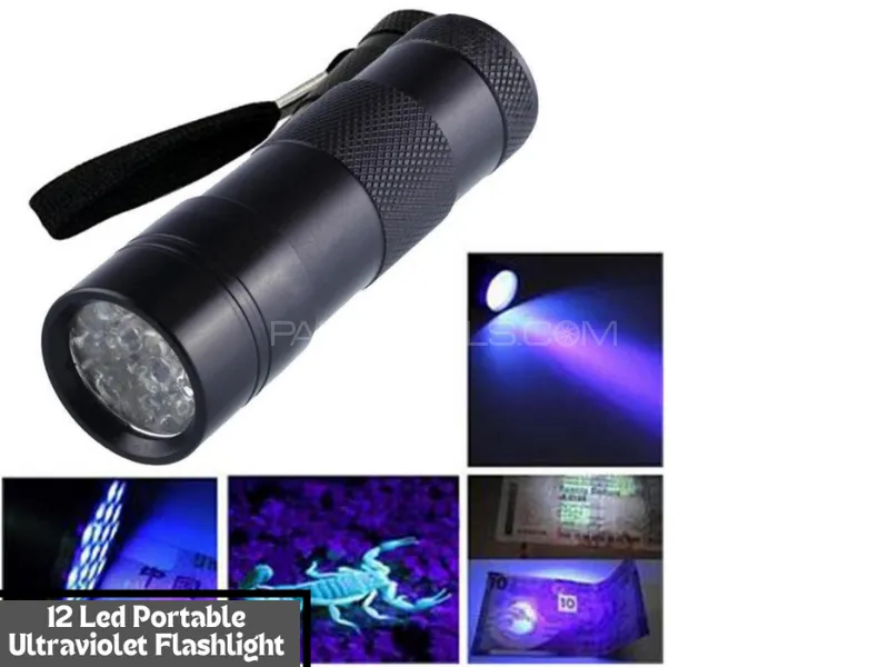 UV Flashlight 12 LED Light Portable Ultraviolet Lamp Torch | Cash Detection Fluorescer Detector Image-1