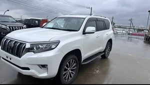 Toyota Prado TZ-G 2.8L Diesel 2019 for Sale