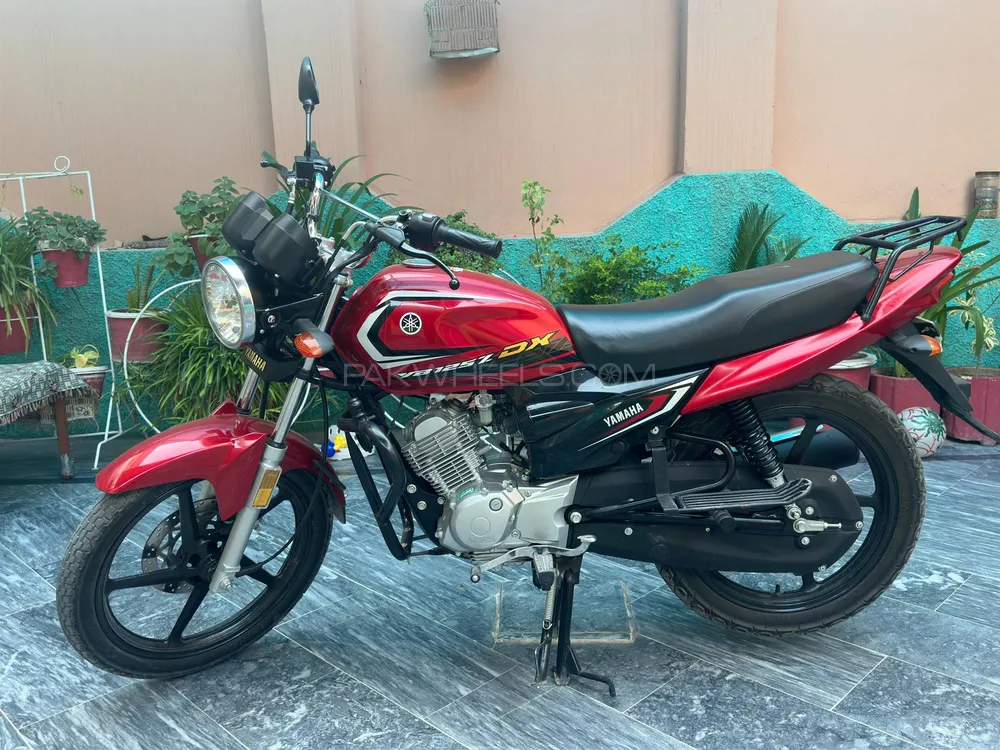 Yamaha YB 125Z-DX 2024 for Sale Image-1
