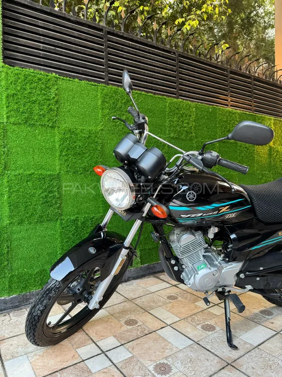 Yamaha YB 125Z-DX 2023 for Sale Image-1