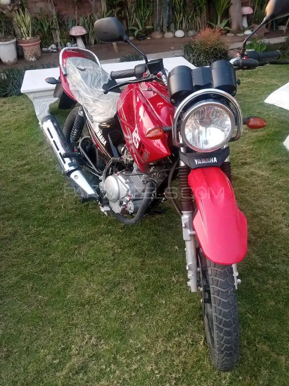 Yamaha YBR 125 2025 for Sale Image-1