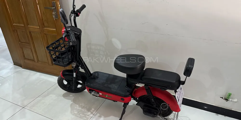 Evee Flipper 2024 for Sale Image-1