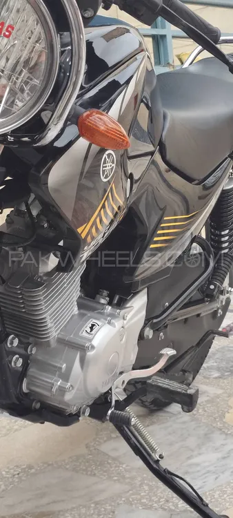 Yamaha YBR 125 2024 for Sale Image-1
