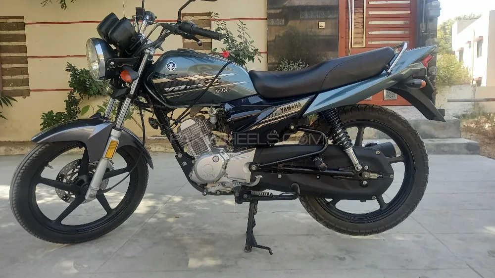 Yamaha YB 125Z-DX 2023 for Sale Image-1