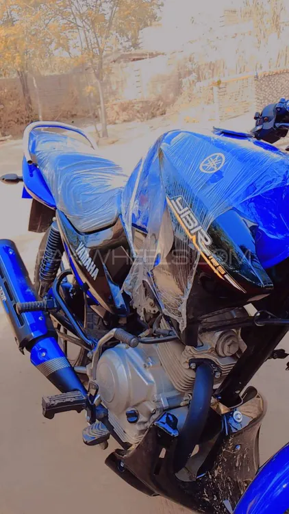 Yamaha YBR 125 2019 for Sale Image-1