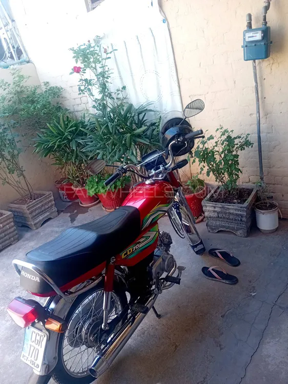 Honda CD 70 2023 for Sale Image-1