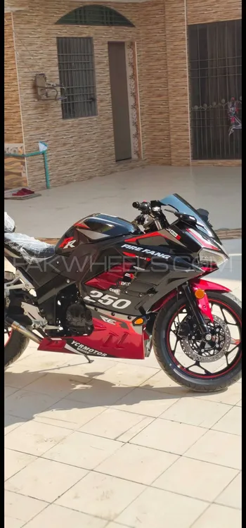 OW Ducatin 250cc 2025 for Sale Image-1