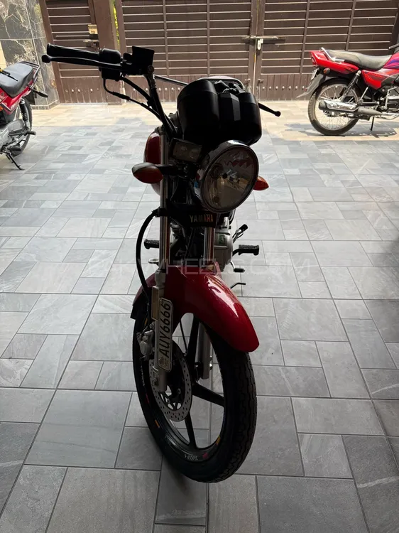 Yamaha YB 125Z-DX 2024 for Sale Image-1
