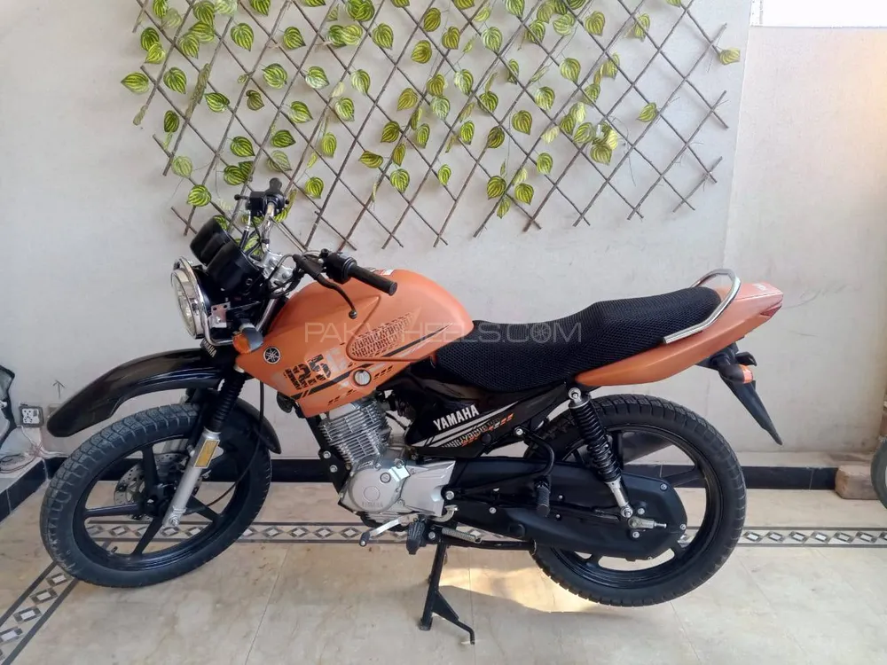Yamaha YBR 125 2025 for Sale Image-1