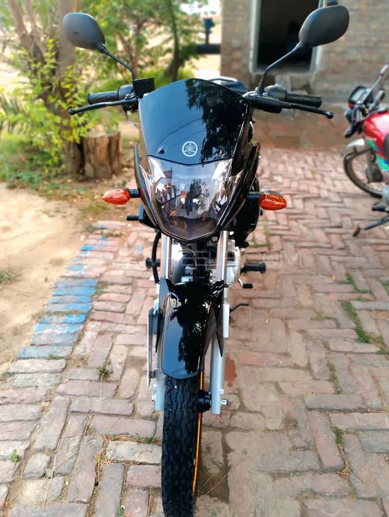 Yamaha YBR 125 2022 for Sale Image-1