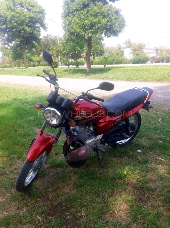 Yamaha YB 125Z  2021 for Sale Image-1