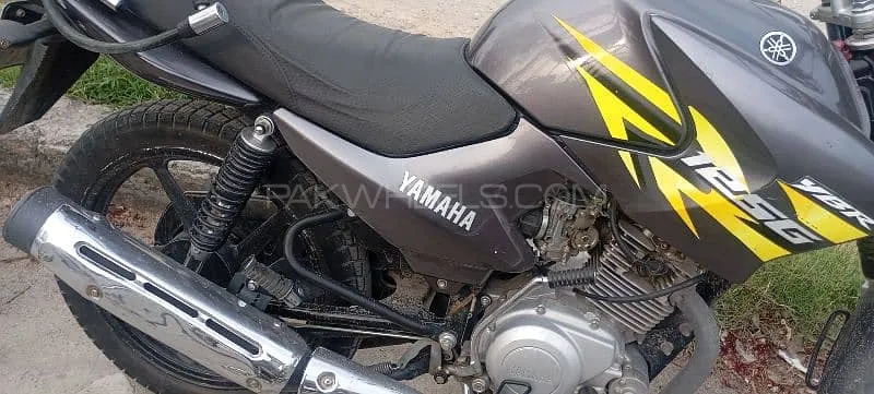 Yamaha YBR 125 2019 for Sale Image-1