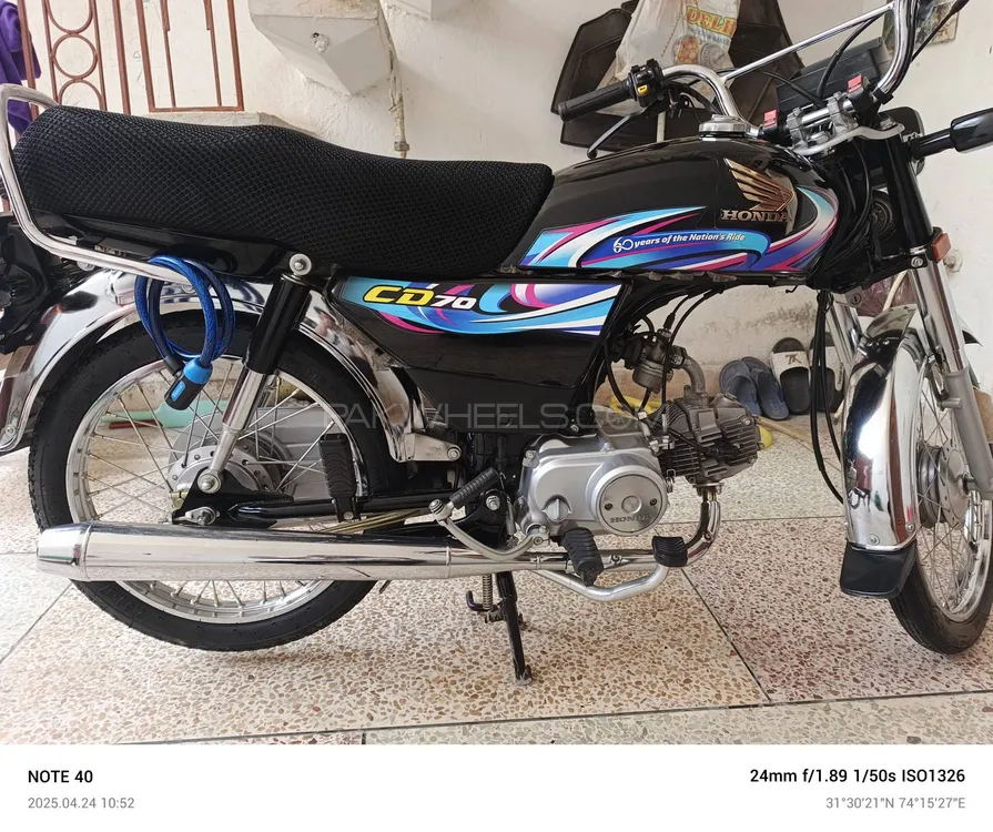 Honda CD 70 2024 for Sale Image-1