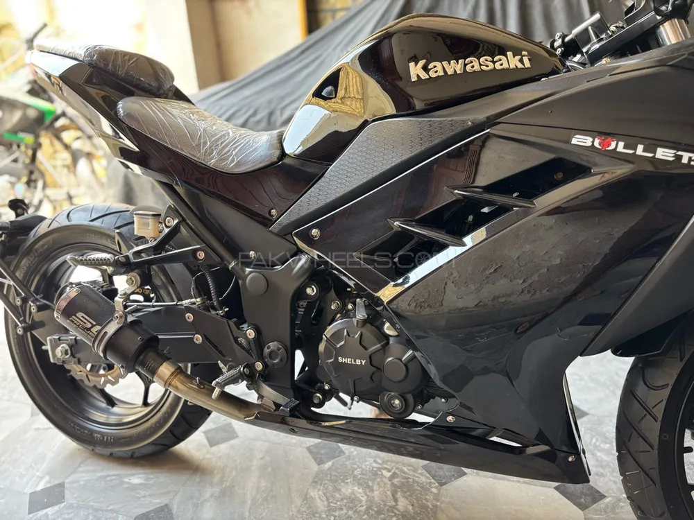 Kawasaki Ninja ZX300 2024 for Sale Image-1