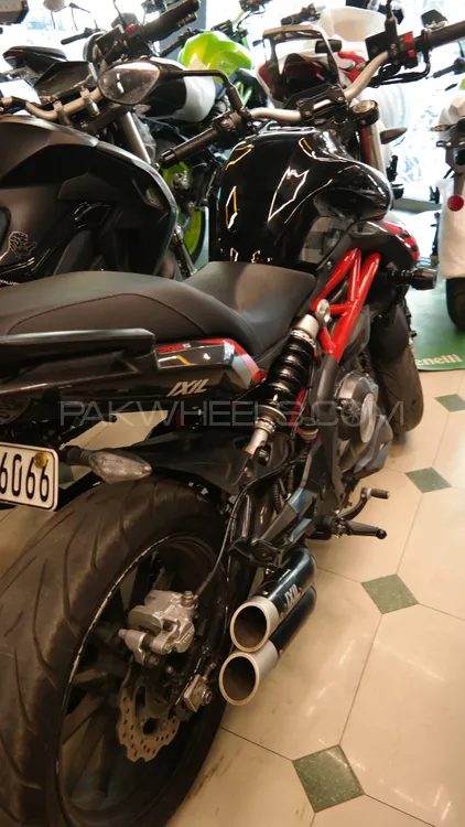 بنیلی 302S 2024 for Sale بنیلی 302S 2024 for Sale Image-3