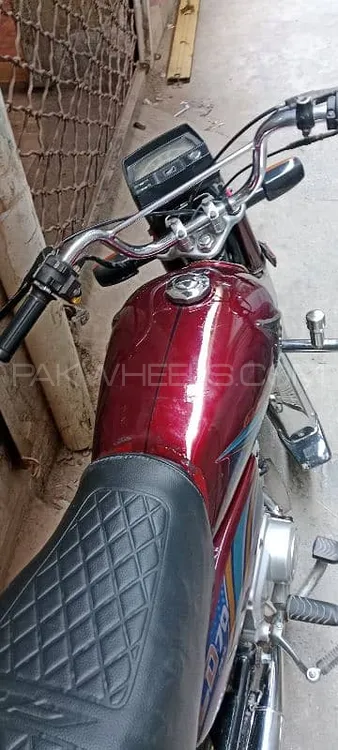 Honda CD 70 2019 for Sale Image-1