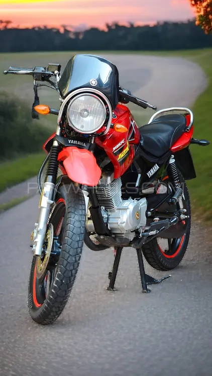 Yamaha YBR 125 2019 for Sale Image-1