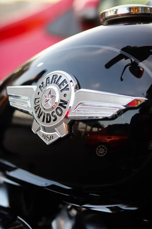 Harley Davidson Fat Boy 2019 for Sale Image-1