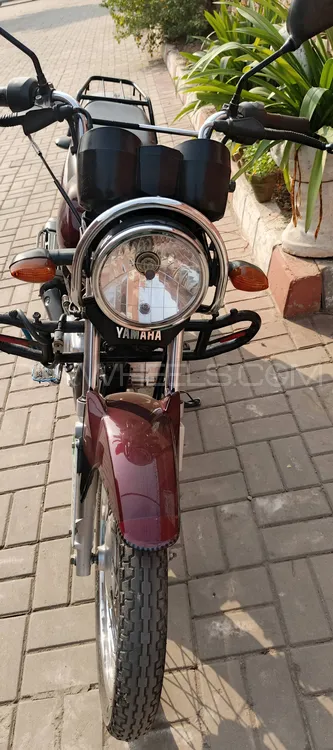 Yamaha YBR 125 2019 for Sale Image-1