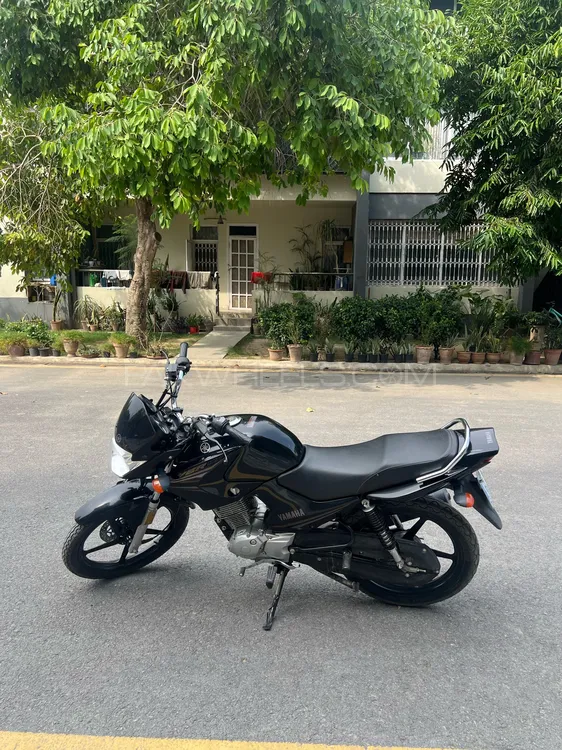Yamaha YBR 125 2023 for Sale Image-1