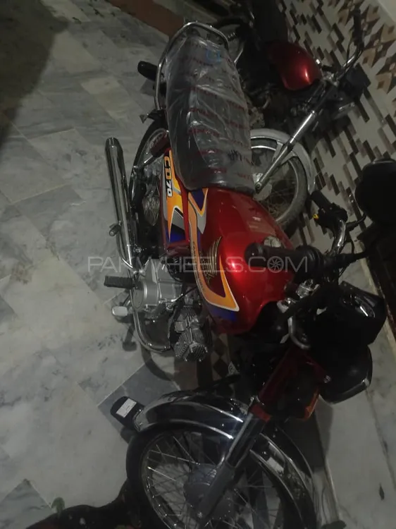 Honda CD 70 2025 for Sale Image-1