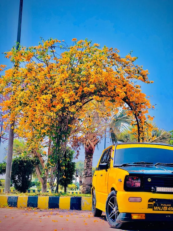 Suzuki FX 1985 for Sale in Khanewal Image-1