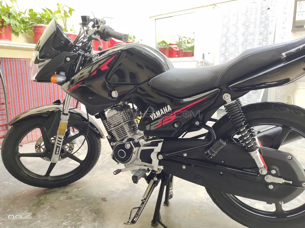 Yamaha YBR 125 2024 for Sale Image-1