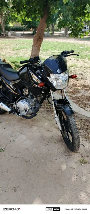 Yamaha YBR 125 2022 for Sale Image-1