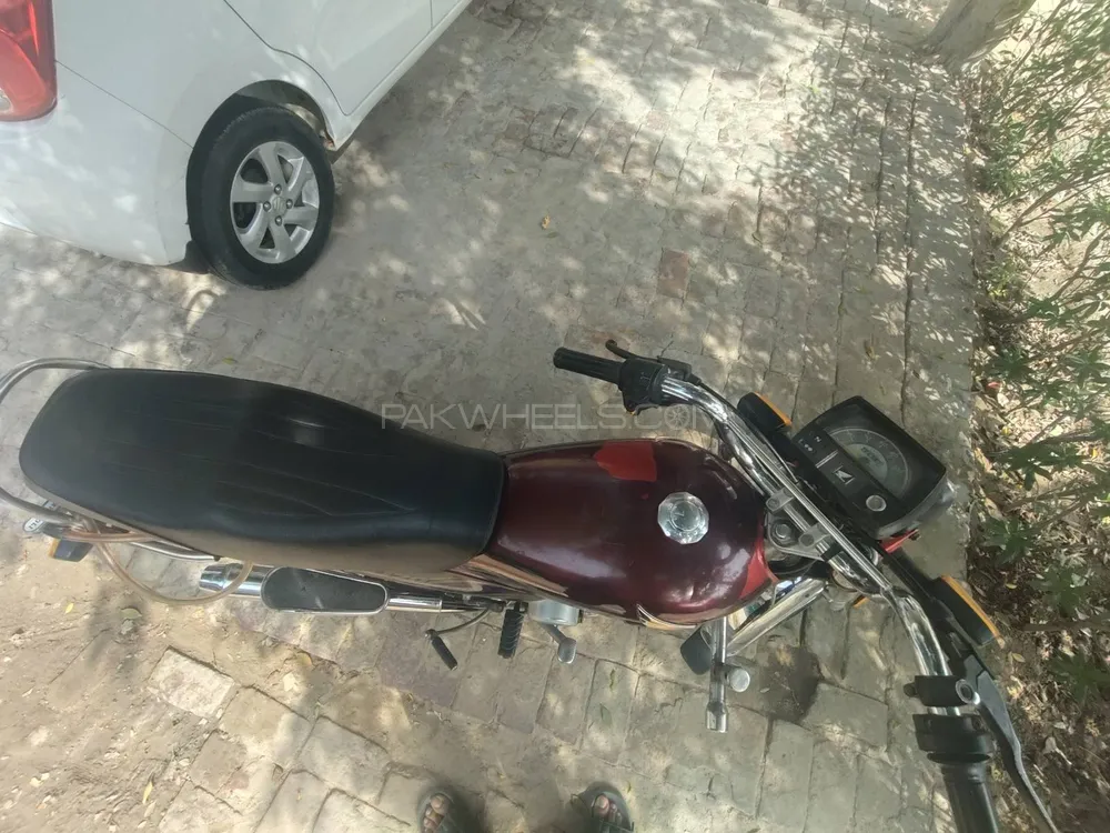 Honda CD 70 2021 for Sale Image-1
