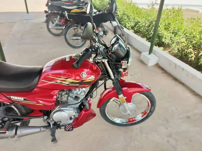 Yamaha YB 125Z  2020 for Sale Image-1