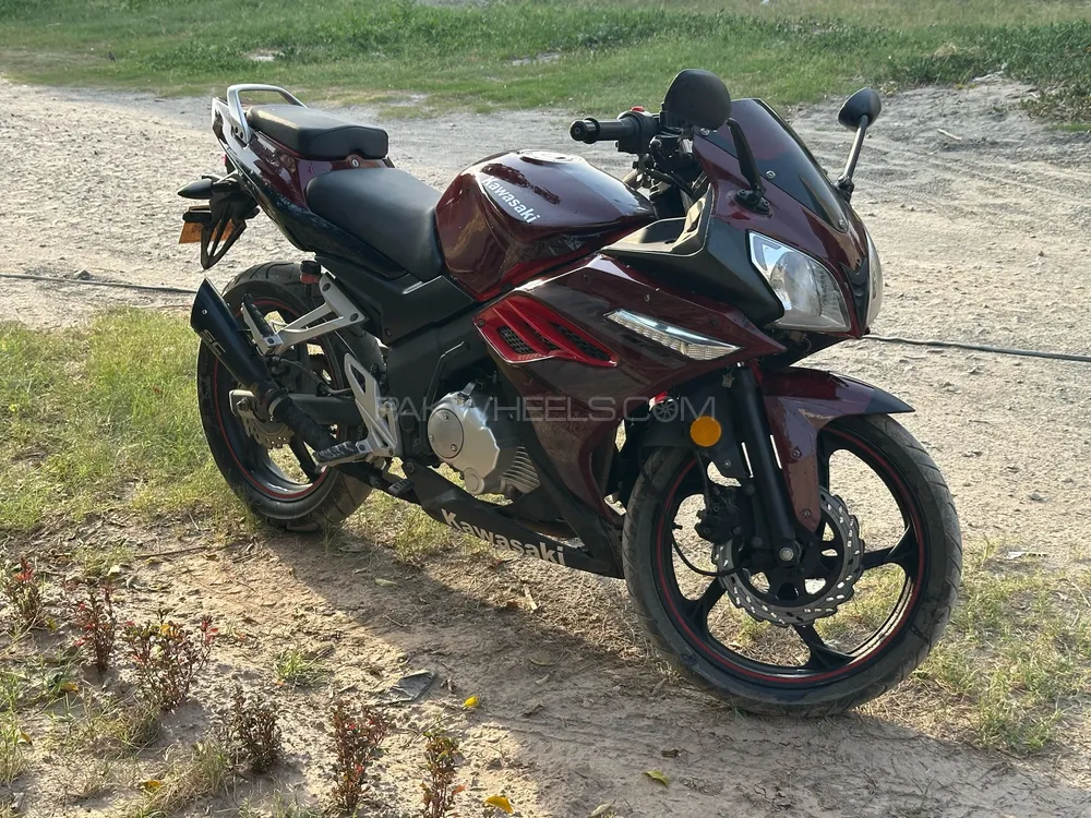 Super Power Leo 200 2024 for Sale Image-1