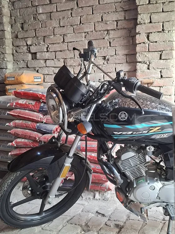 Yamaha YB 125Z-DX 2022 for Sale Image-1