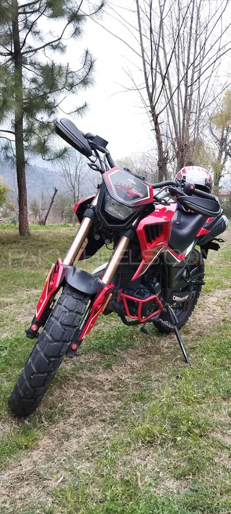 FUEGO TEKKEN 250 2018 for Sale Image-1