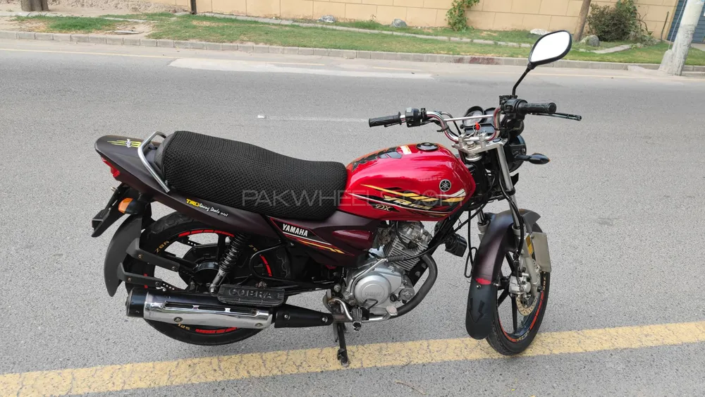 Yamaha YBR 125 2021 for Sale Image-1