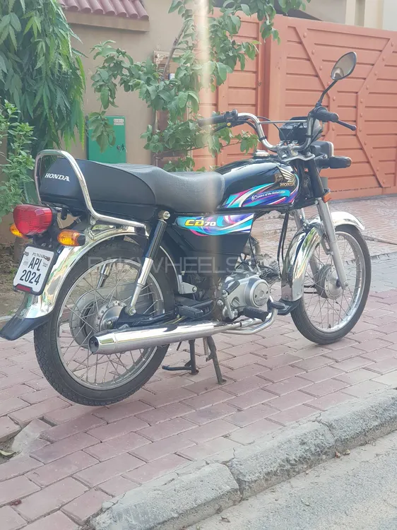 Honda CD 70 2024 for Sale Image-1